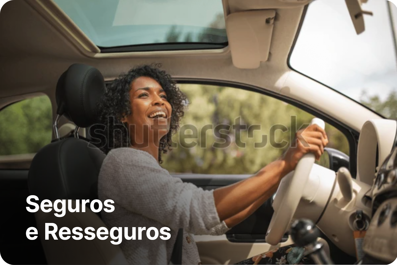 Seguros