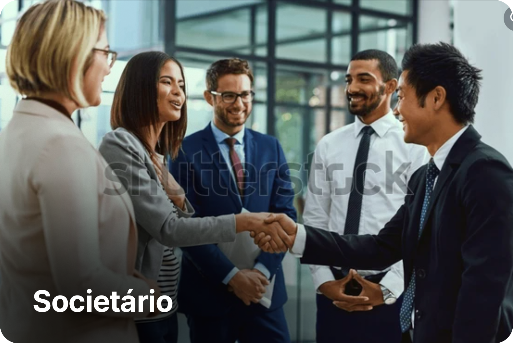 Societário